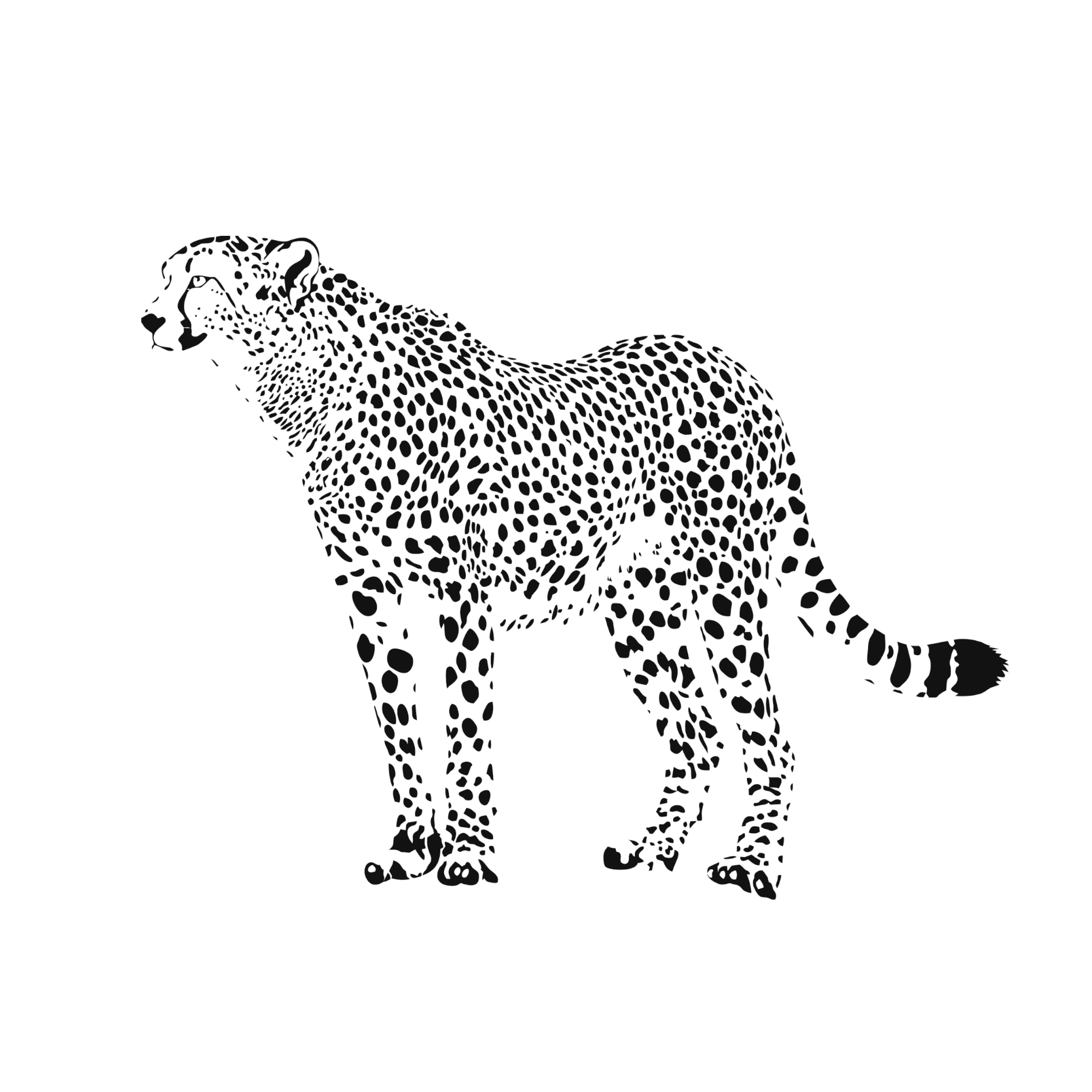 Gepard